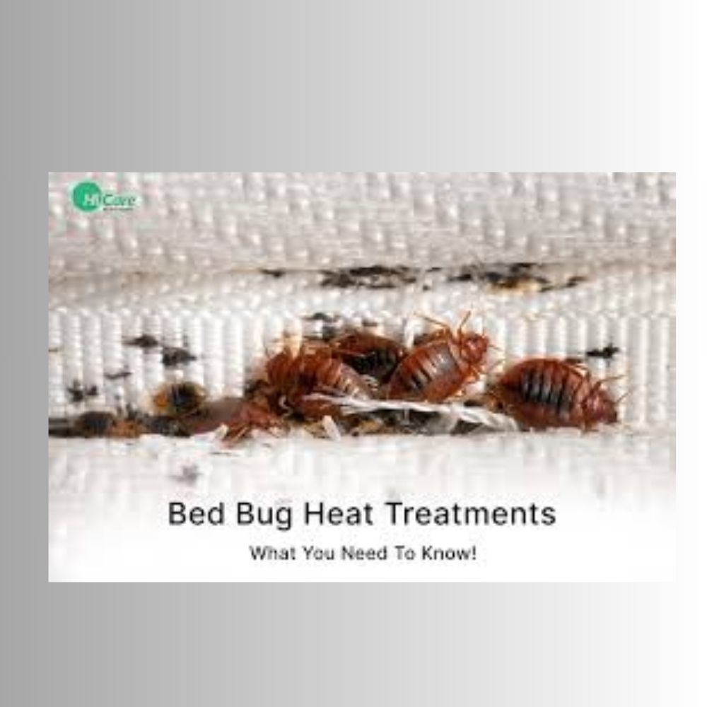 Pest Control